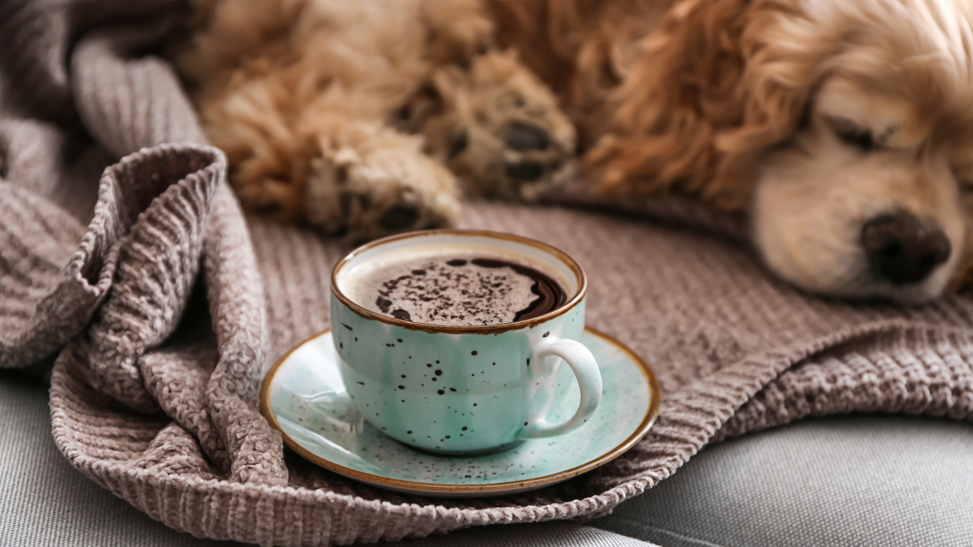 dog with coffee